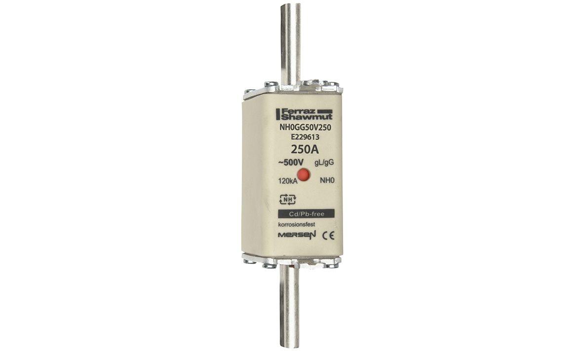 E229613 - NH fuse-link gG, 500VAC, size 0, 250A double indicator/live tags